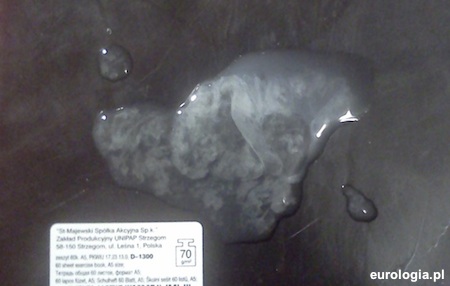 Białe grudki w nasieniu