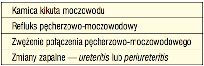 Etiologia ropniaka kikuta moczowodu