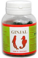 Ginjal - skład preparatu i działanie