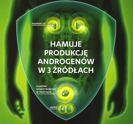 Mechanizm działania Zytiga