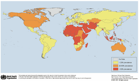 Obrzezanie - statystka