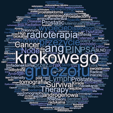 Terminologia i angielskie skr&oacute;ty w raku prostaty