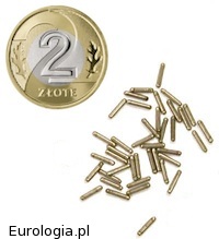 Ziarna radioaktywne - brachyterapia raka stercza