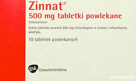 Zinnat 500 - ulotka